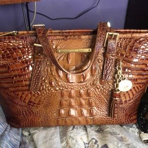 Brahmin Mini Asher